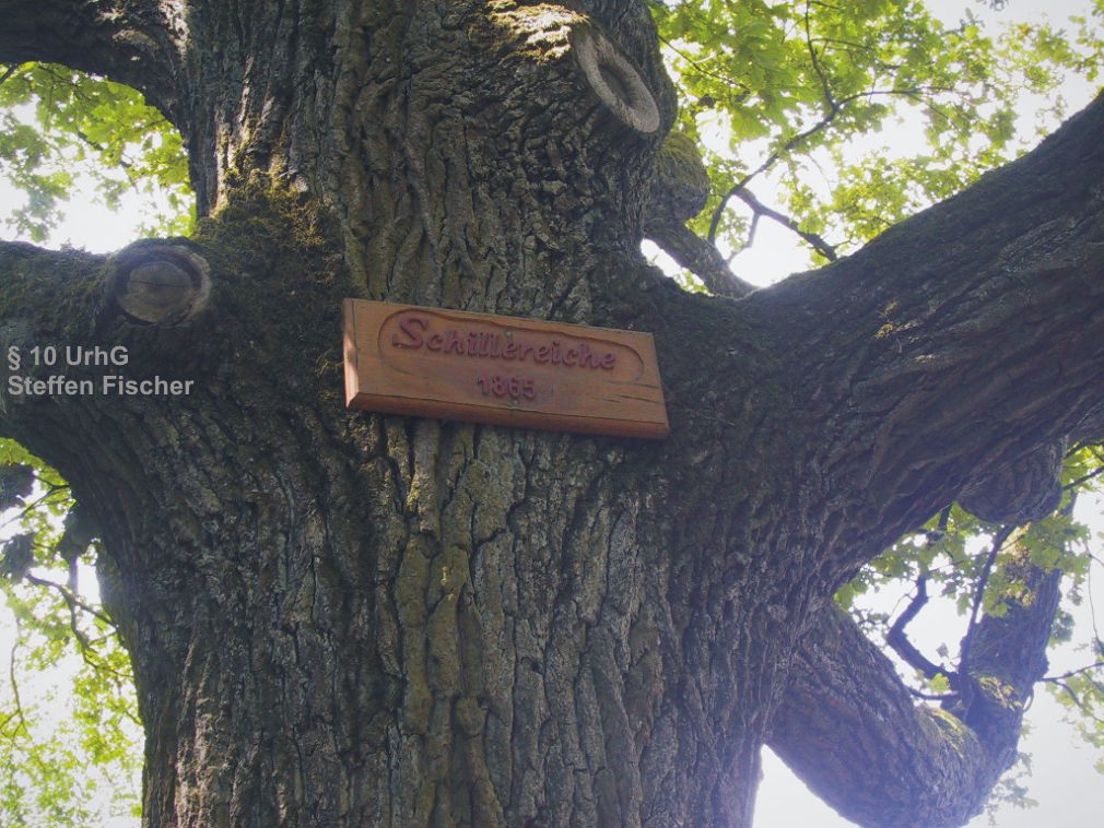 Aussichtspunkt Schillereiche